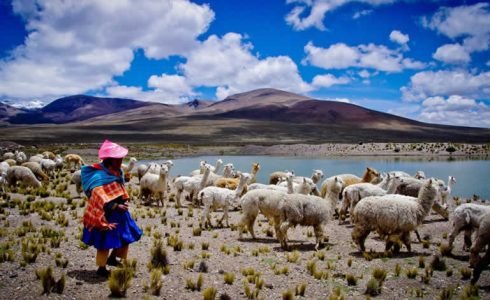 viaje en grupo a Perú