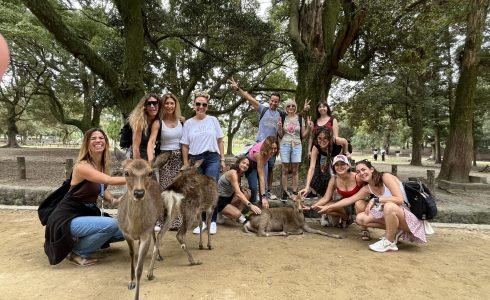 Viaje en grupo a Japon