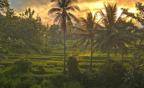 Viaje en grupo a Indonesia