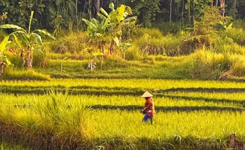 Viaje en grupo a Bali