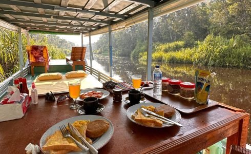 Ver orangutanes en Klotok