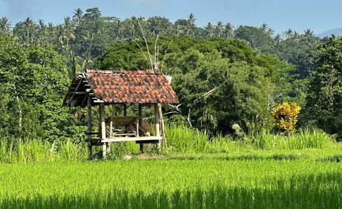 Viaje en grupo a Indonesia