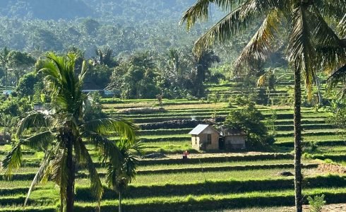 Viaje en grupo a Indonesia