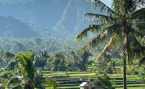 Viaje en grupo a Bali