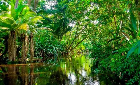 viaje a la selva amazonas