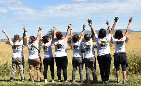 Testimonios Mochileros Meraki Opiniones