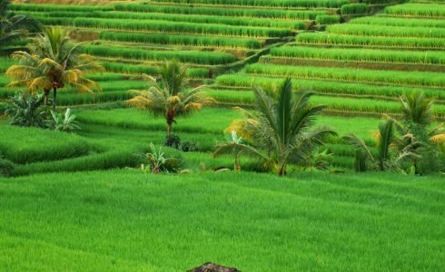 claudia-fernandez-ortiz-TF1qnG9eZHQ-unsplash