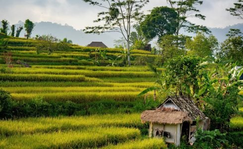 darcey-beau-70zt5R19Bfk-unsplash