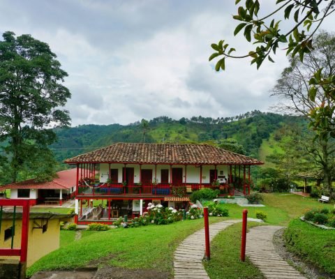 datingjungle-chO9nH4iAKc-unsplash