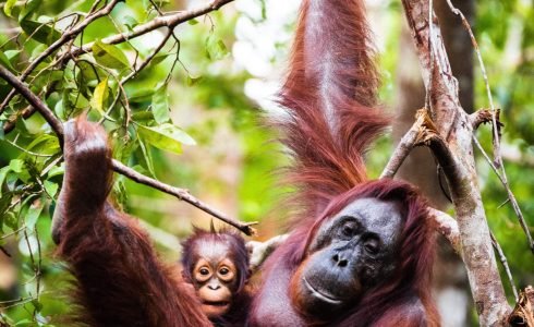 dimitry-b-tRGqh8cHanA-unsplash