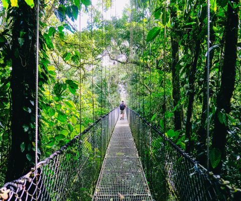 Puentes colgantes en Costa Rica