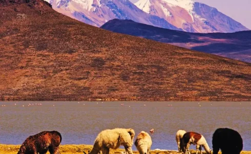 Viaje en grupo reducido a Perú