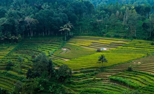 nuril-ahsan-__v3Sh35_Lw-unsplash