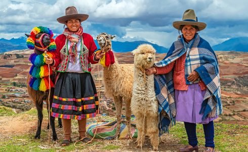 CUSCO, PERU - OCTOBER 31, 2019: A rural portrait of Peruvian Quechua Indigenous Women in traditional clothes with their domestic animals, two llama and one alpaca in the Cusco province.