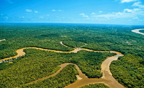 viaje en grupo al amazonas