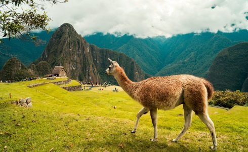 willian-justen-de-vasconcellos-ulUnRNuC_ok-unsplash