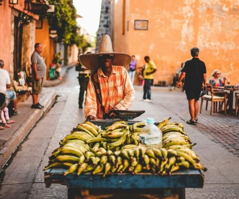 zan-lazarevic-o6etGgzGIHo-unsplash