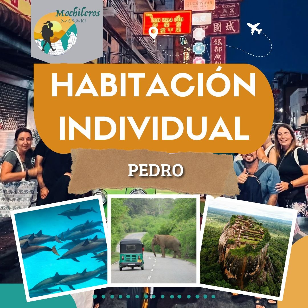 Habitación individual Pedro