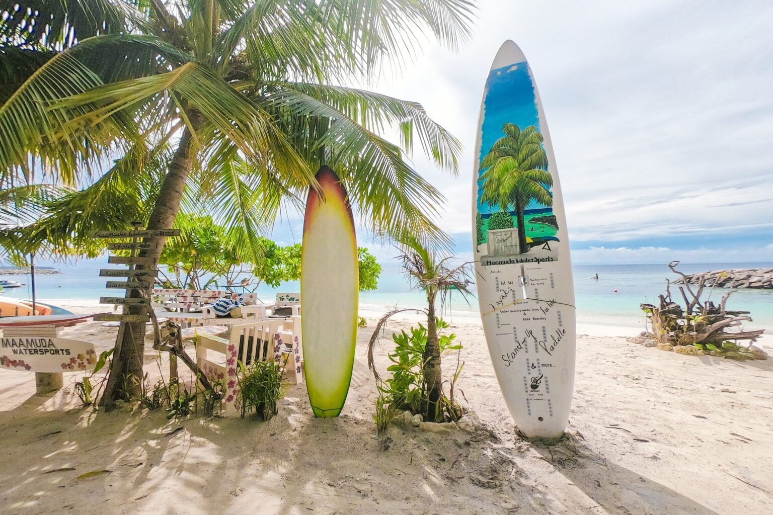 Tablas de surf en playa junto a palmera